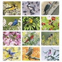 Birds Wall Calendar