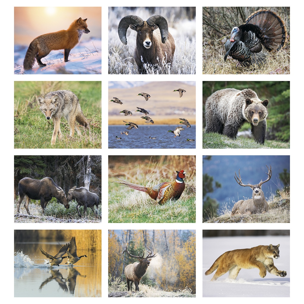 North American Wildlife Wall Calendar