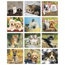 Puppies & Kittens Mini Wall Calendar