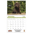 Puppies Wall Calendar