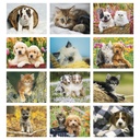 Puppies & Kittens Wall Calendar