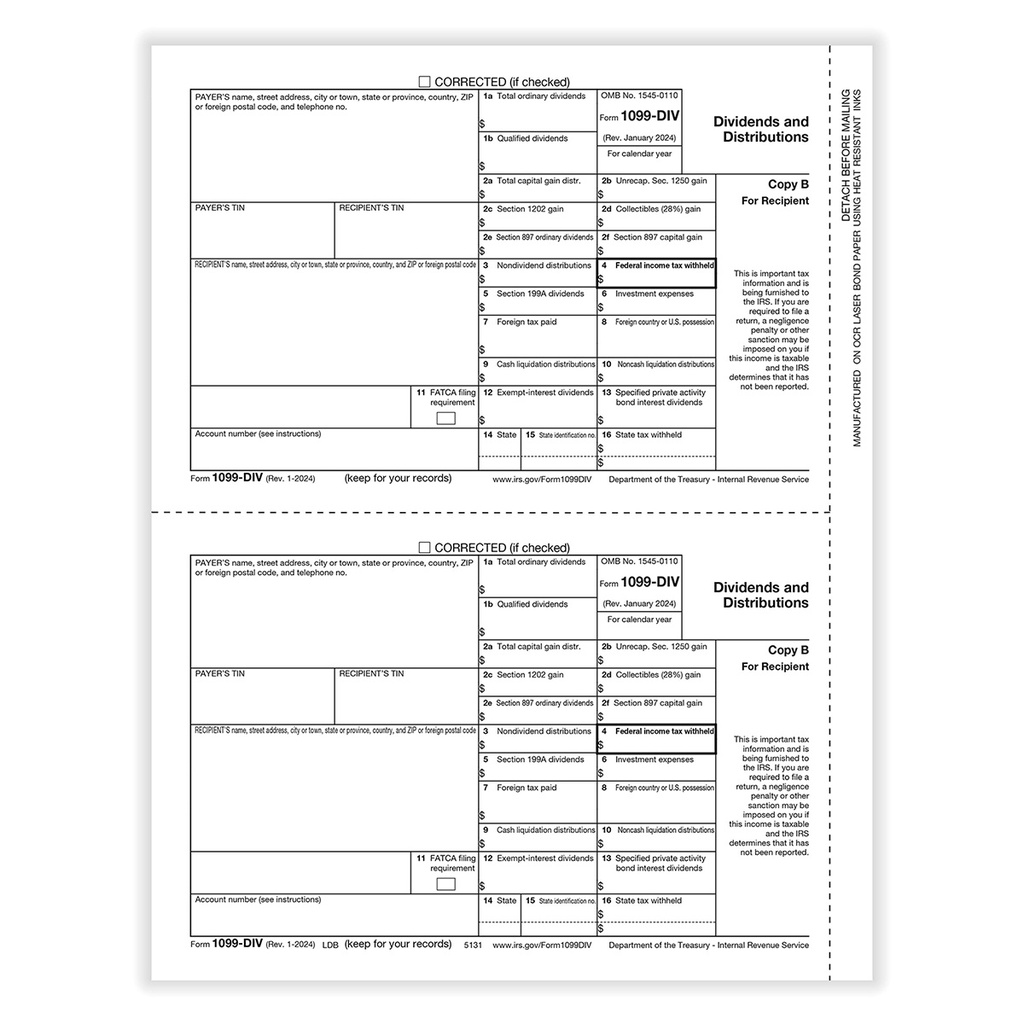 Tax Form 1099-DIV - Copy B/ 2 Recipient (5131)