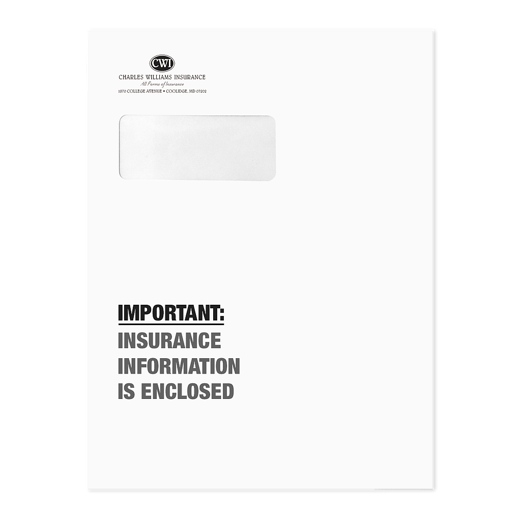 Large Window Policy Envelope - Important