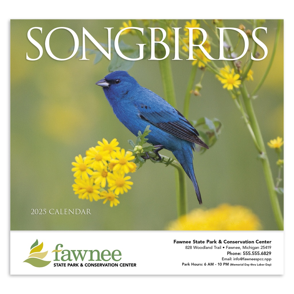 Nature's Songbirds Wall Calendar  