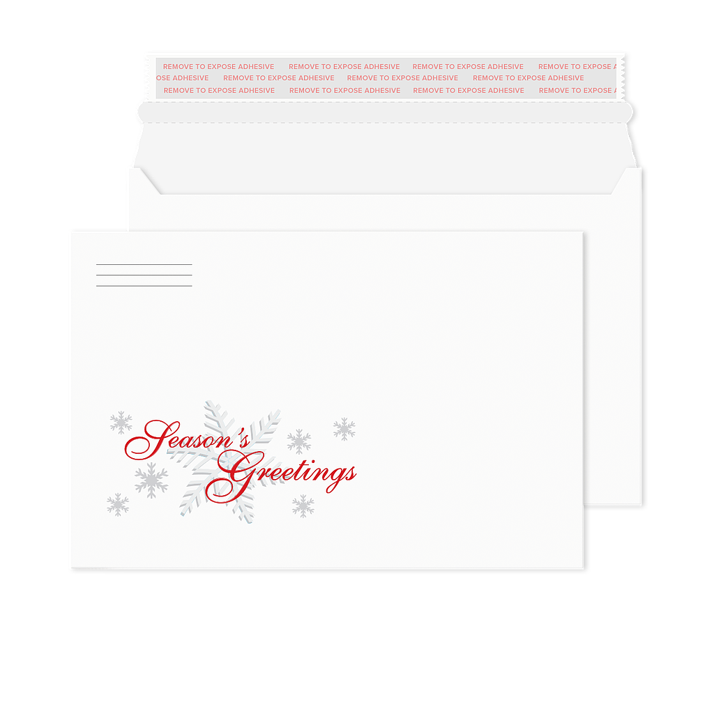 Season's Greetings Pocket Planner Envelopes